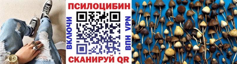 Галлюциногенные грибы мицелий  купить  цена  Буйнакск 